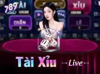 NET88 Tài xỉu live